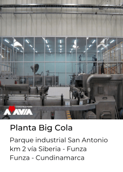 Imagen planta big cola 
